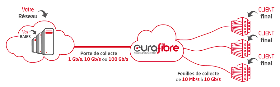 Offre de collecte fibre optique opérateur Eurafibre